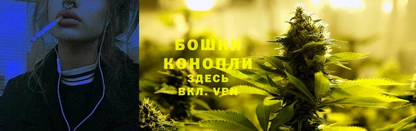 крисы Новозыбков