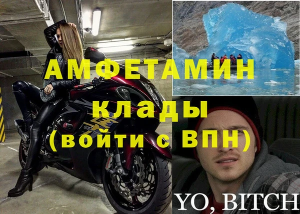 крисы Новозыбков