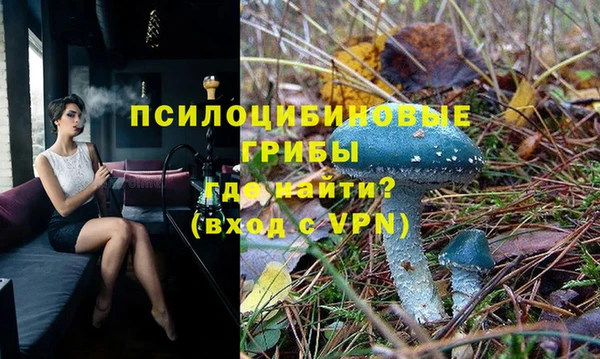 крисы Новозыбков