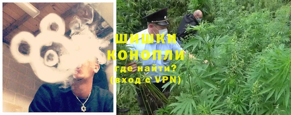крисы Новозыбков