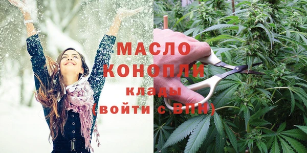 крисы Новозыбков