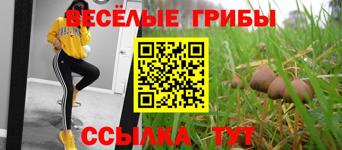 Кстово  Псилоцибиновые грибы мухоморы  Вход с VPN 